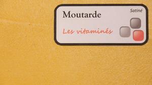 nuancier-les-betons-de-clara-moutarde-collection-les-vitamines-decoration-interieure-enduit-decoratif.jpg
